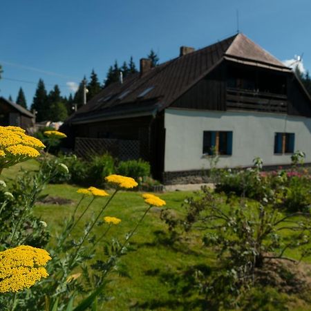 Apartment Kopanicakova Kubova Huť Eksteriør billede