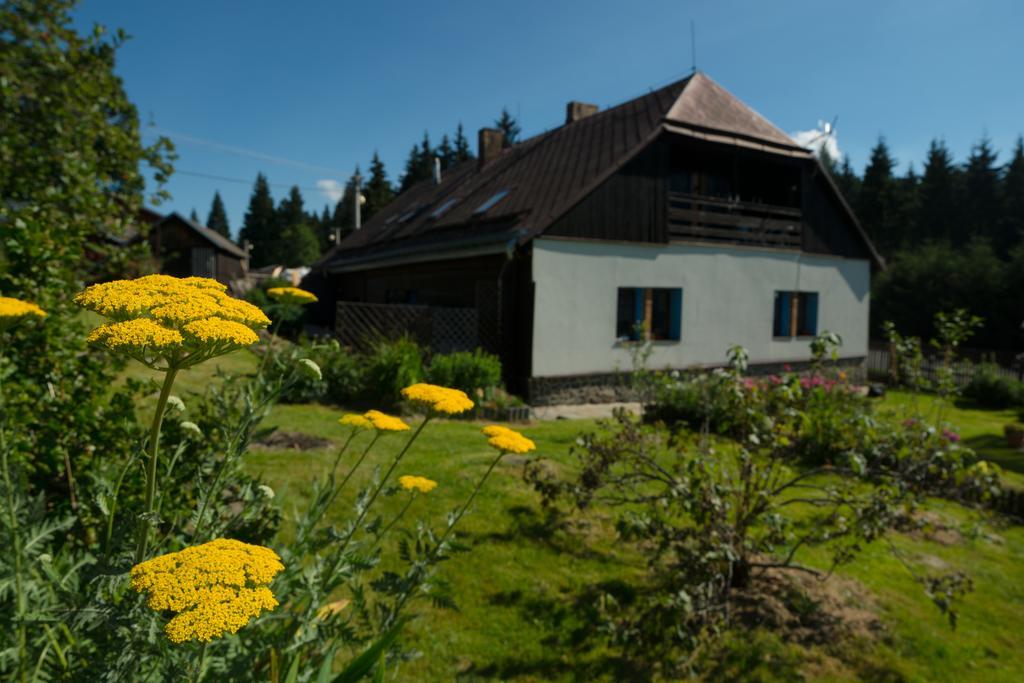 Apartment Kopanicakova Kubova Huť Eksteriør billede